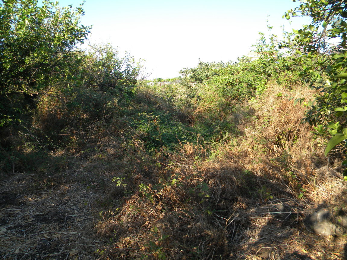 DSCN7984 .JPG